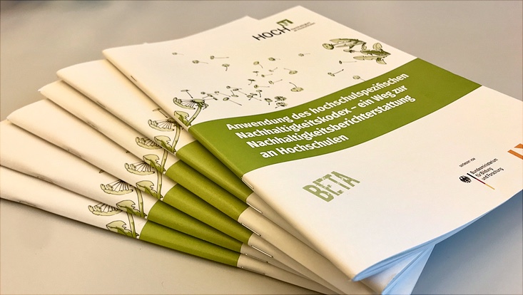 Stapel der Printausgaben der HOCH-N Leitfäden